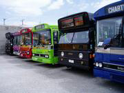 The Party Bus Coloured Buses